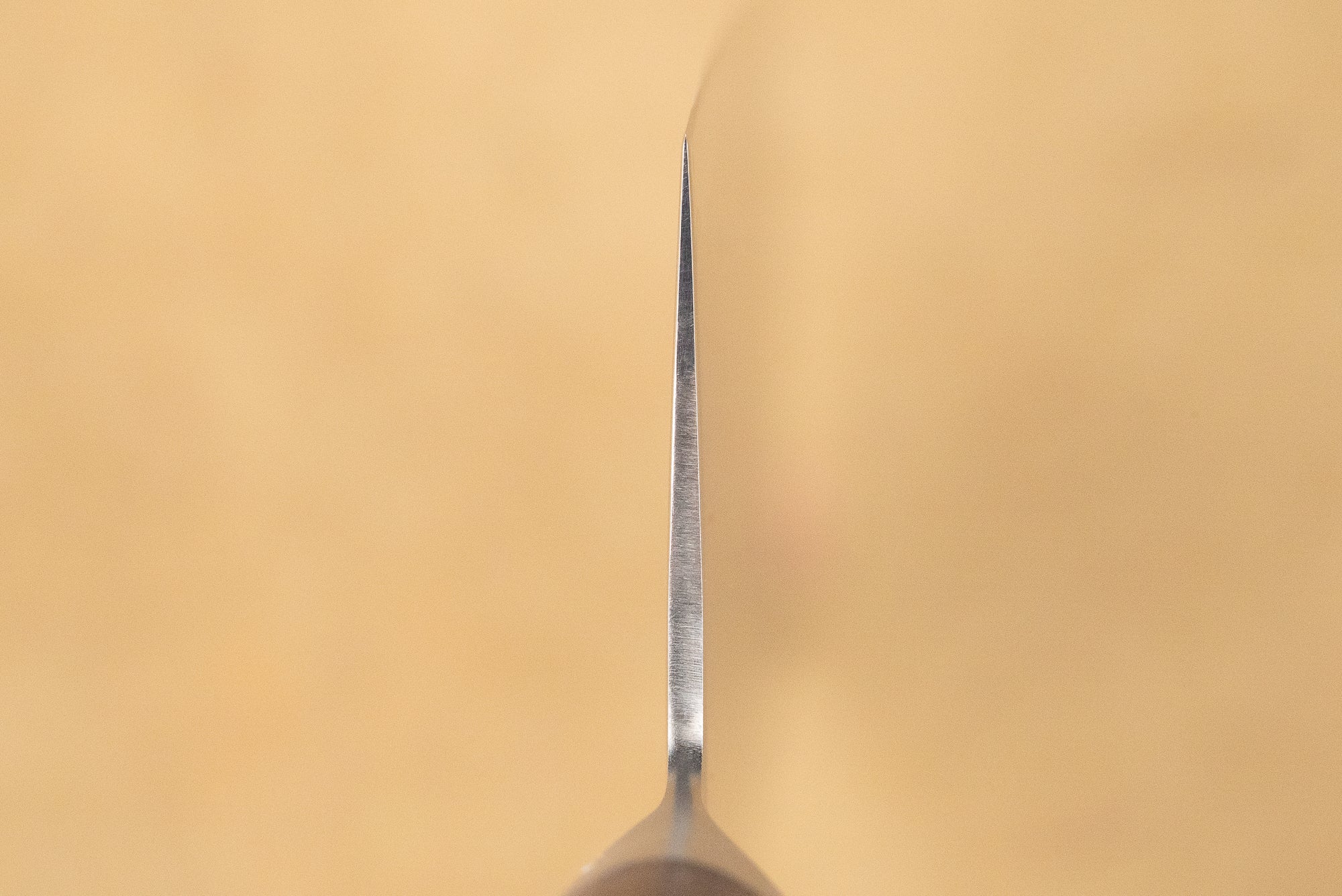 Shizu Hamono Shikisai Miyako Nakiri 170mm - Image 3