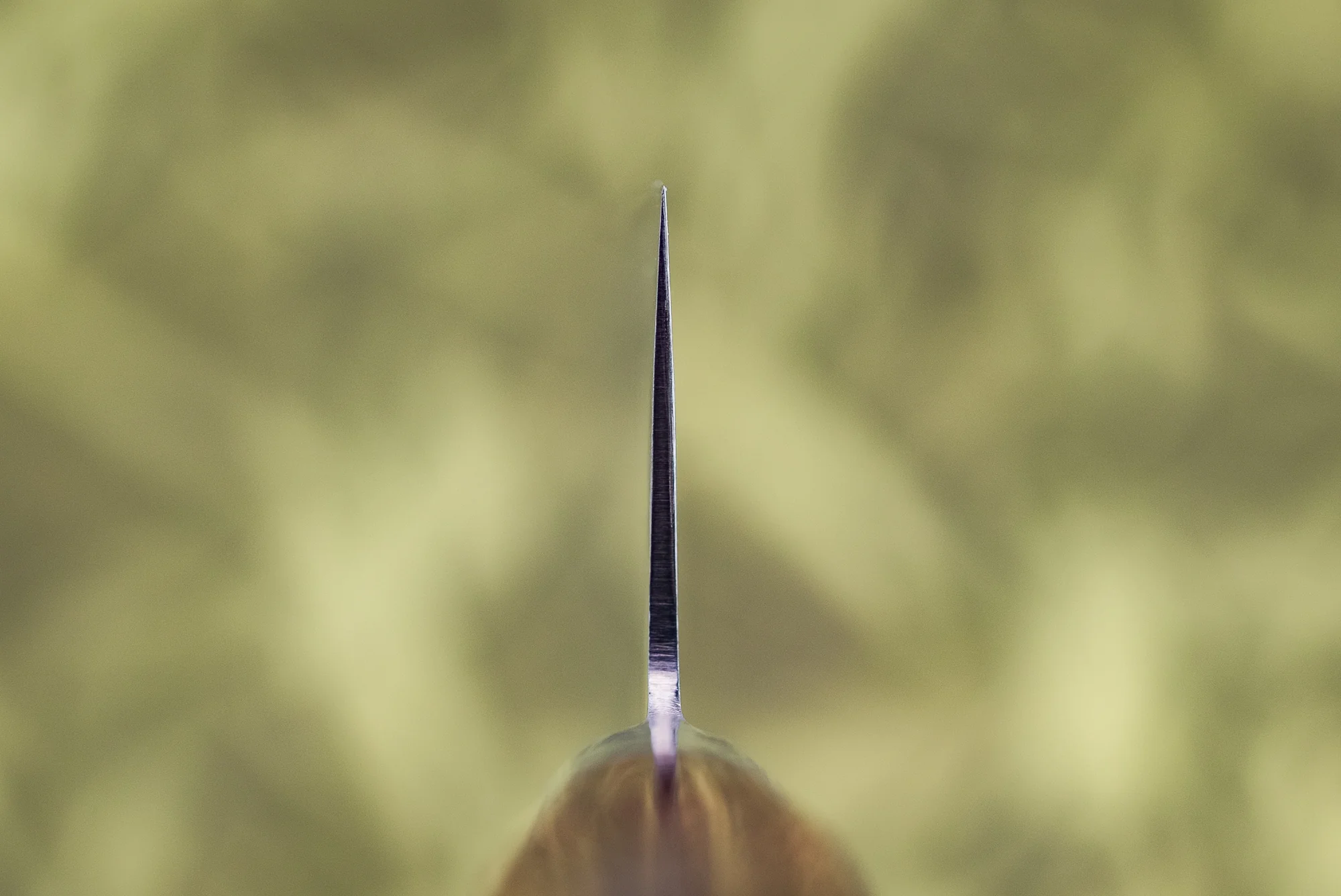 Tamahagane San Gyuto 240mm SN-1104 - Image 3