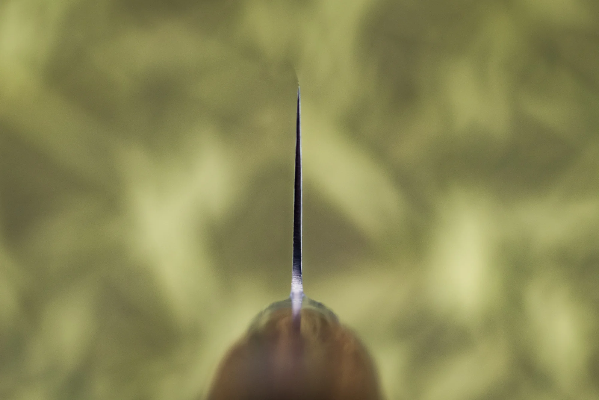 Tamahagane San Nakiri 160mm SN-1116 - Image 3