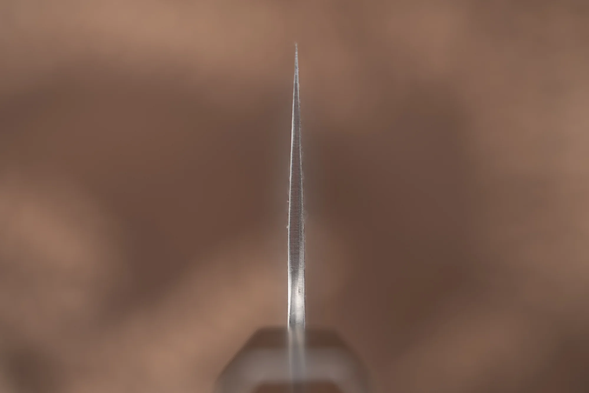 Tetsuhiro SG2 Damascus Kanko Kiritsuke Gyuto 240mm - Image 3
