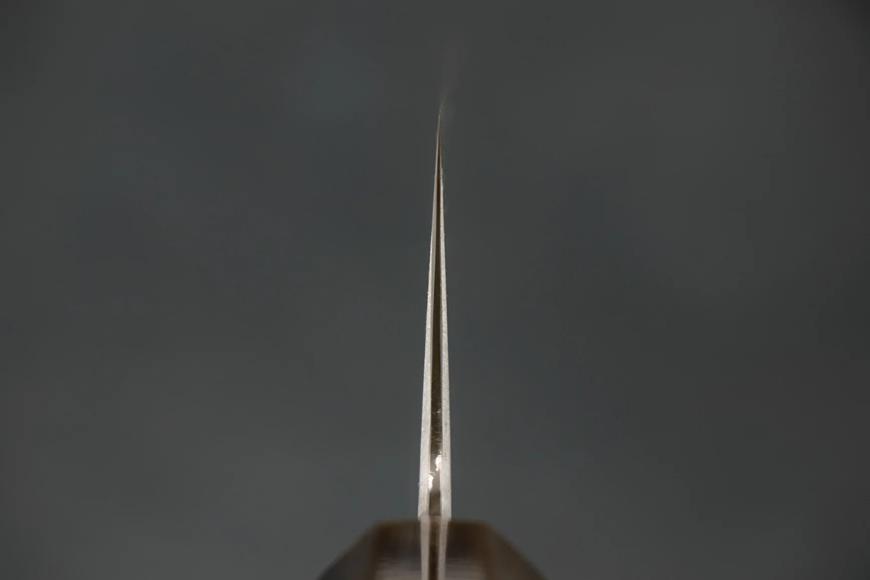 Tetsujin Hamono Aogami Tanryusen Gyuto 240mm - Image 5