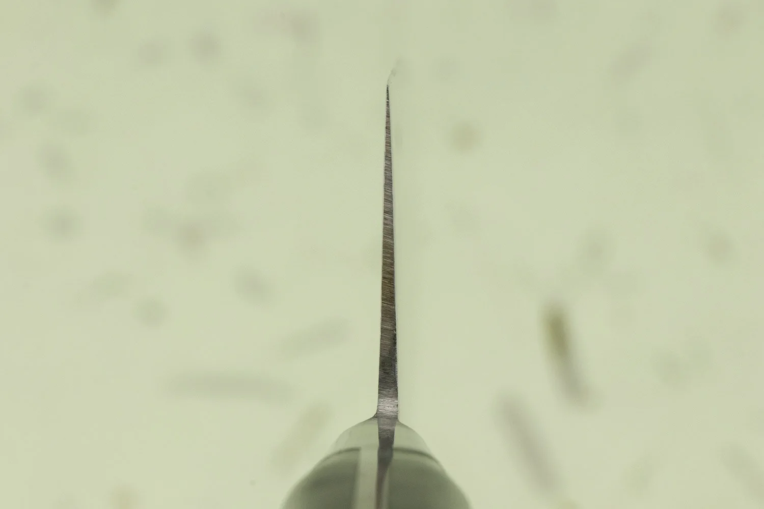 TOJIRO CLASSIC Gyuto 300mm F-811 - Image 3