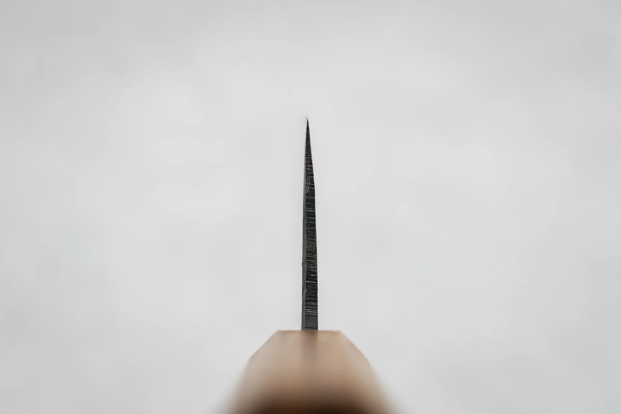 Tosa Tsukasa Shiroichi Kurouchi Nakiri 165mm - Image 3