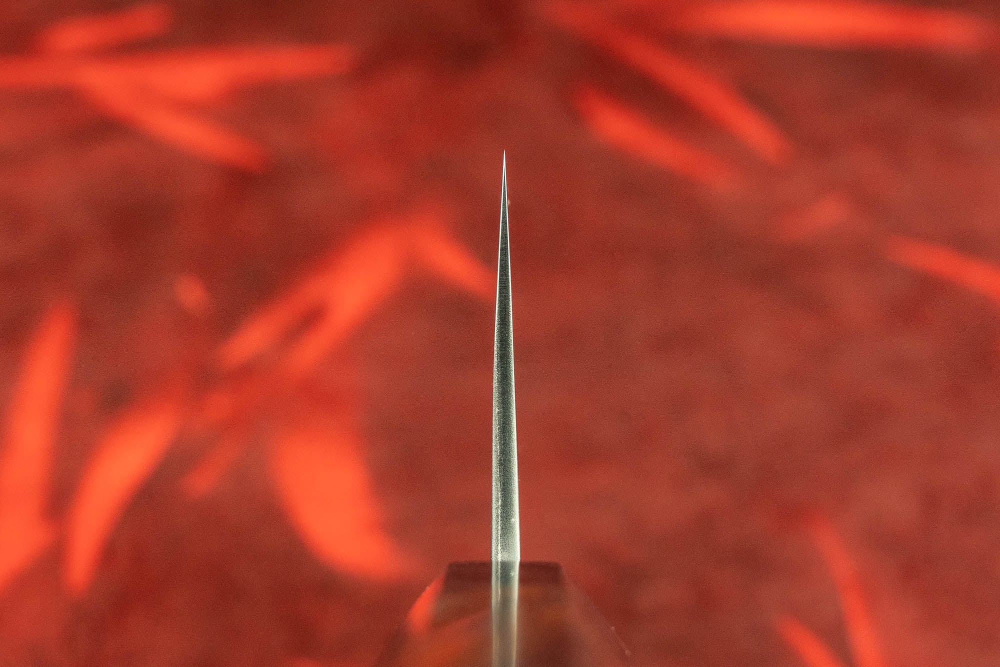 Toshihiro Wakui Shirogami Stainless Migaki Nakiri 165mm - Image 3