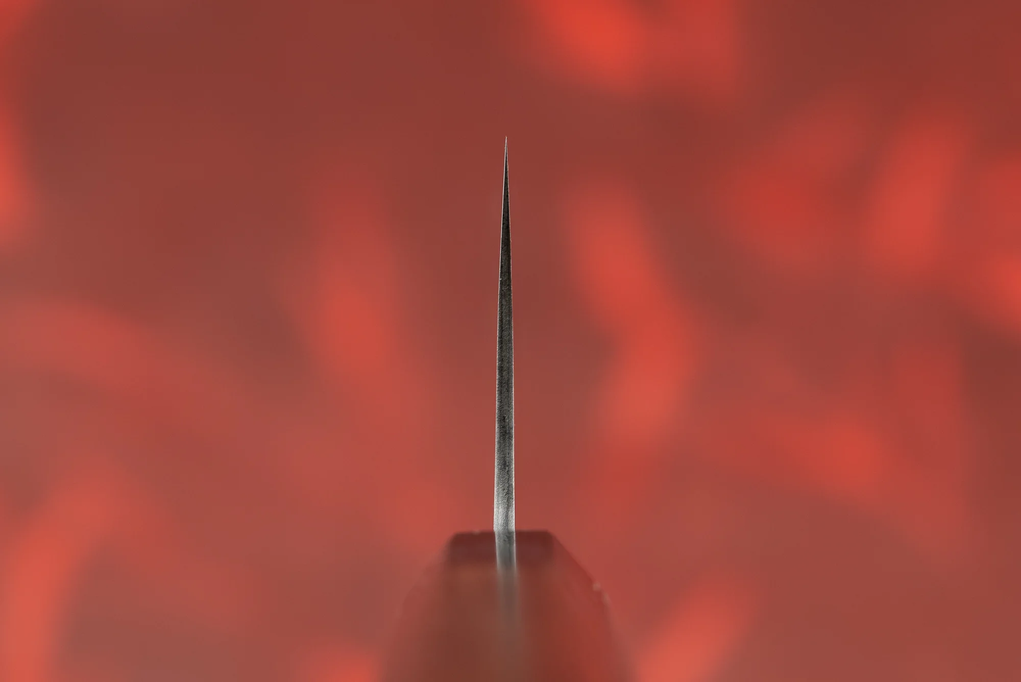 Toshihiro Wakui Shirogami Stainless Migaki Santoku 165mm - Image 3