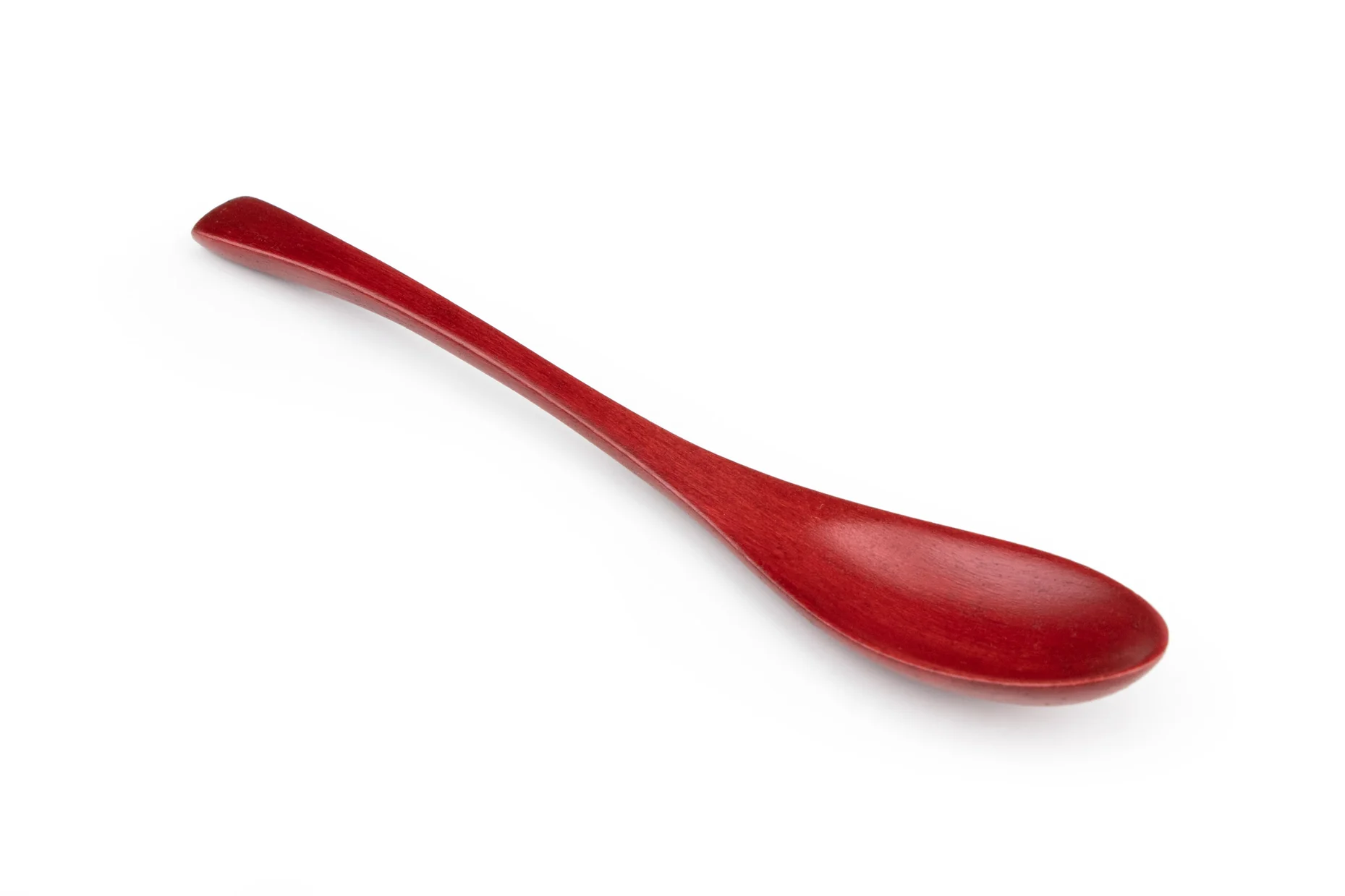 Wakasa Nuri Japanese Curry Spoon - Image 2