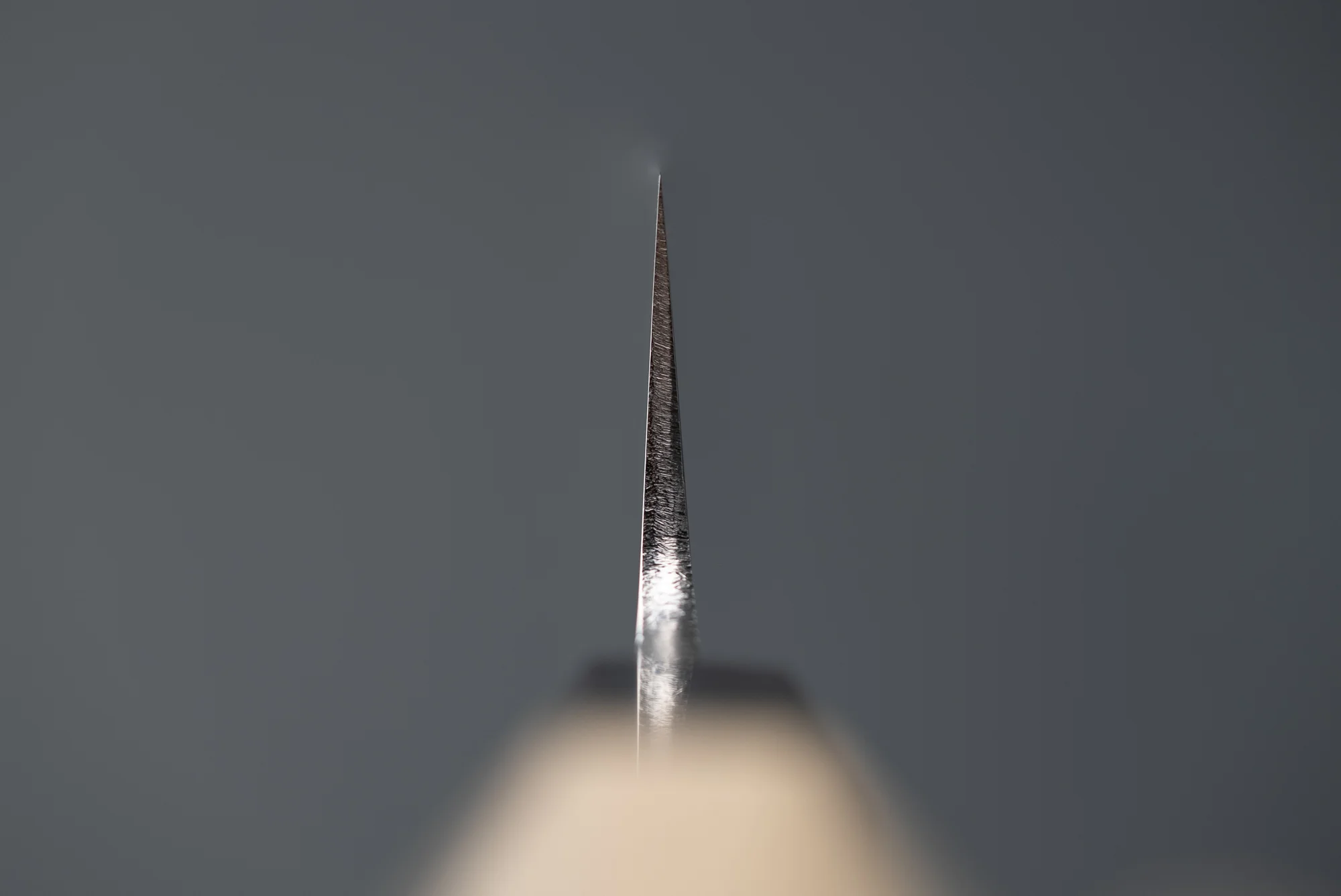 Yoshiaki Fujiwara (Kiyoshi Kato) Aoniko Migaki Sujihiki 210mm - Image 4