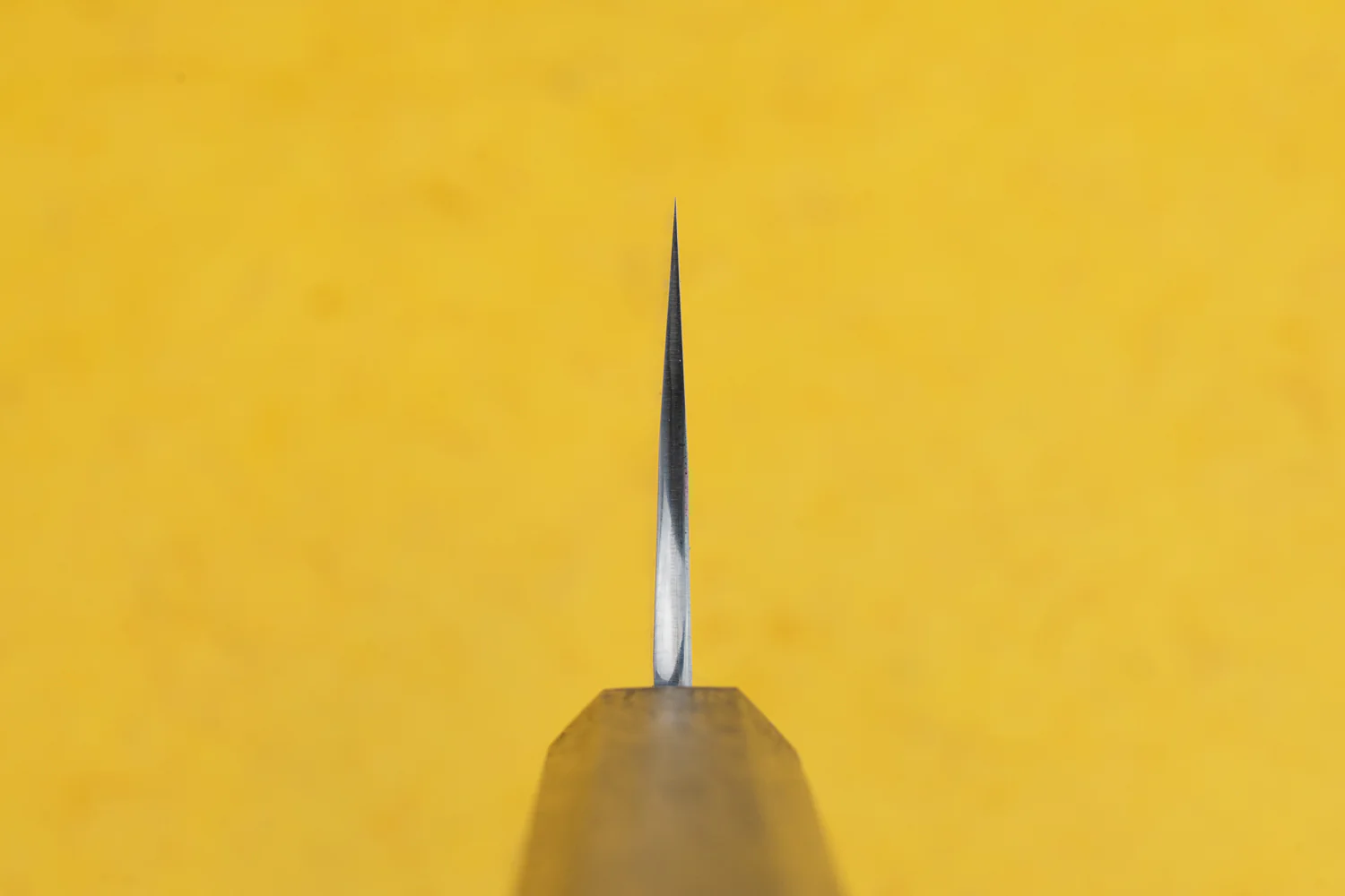 Yu Kurosaki Raijin Cobalt Special Wa Gyuto 210mm - Image 3