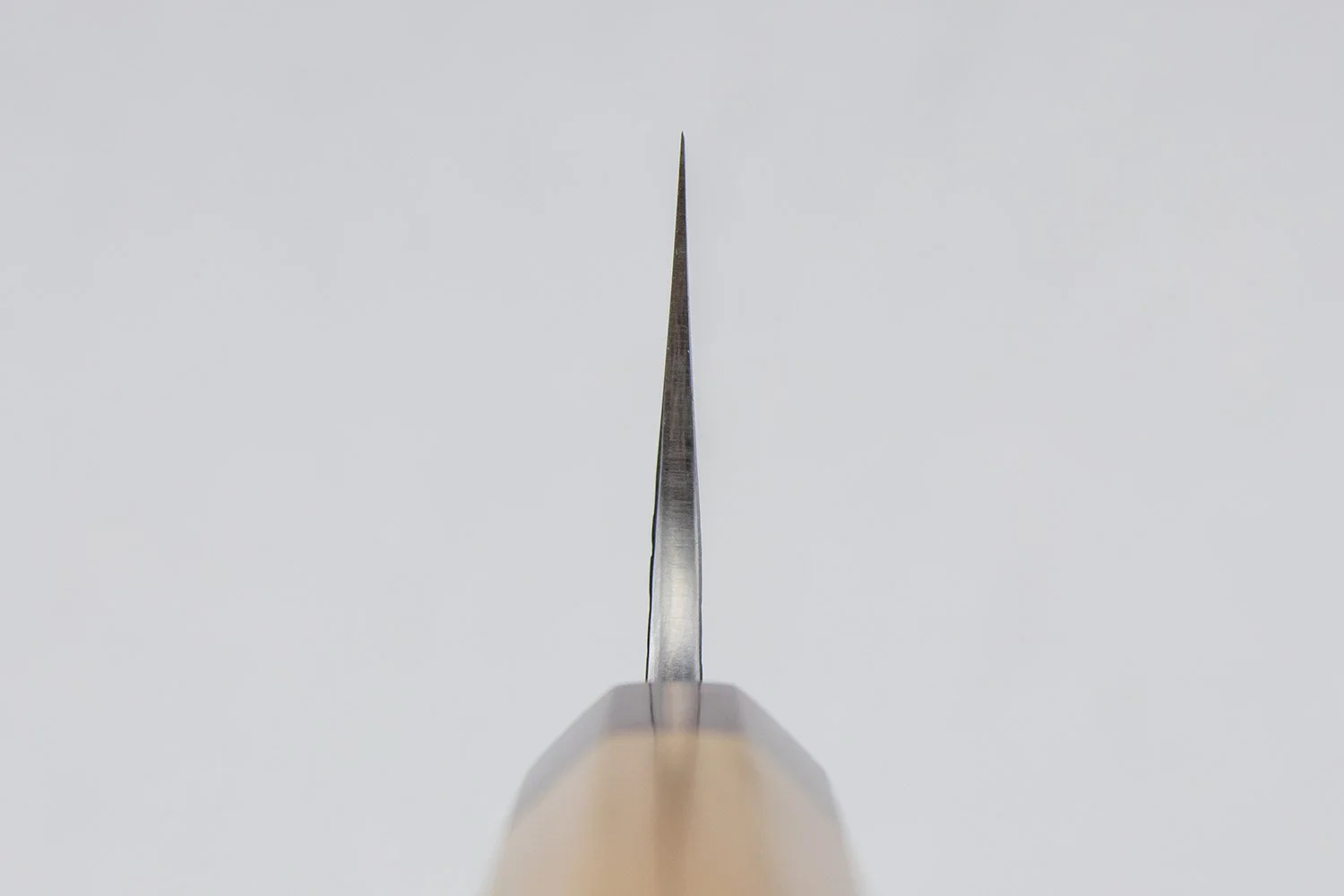 Yu Kurosaki Sasame Gyuto 240mm - Image 3