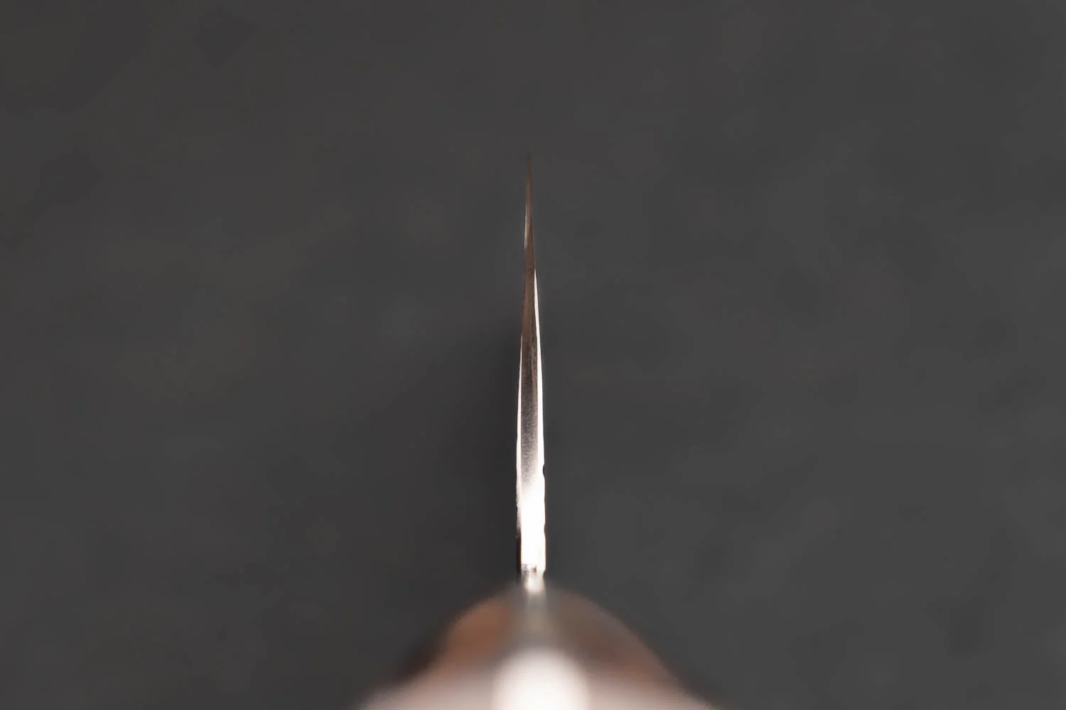 Yu Kurosaki SG2 Fujin Western Santoku 165mm - Image 3